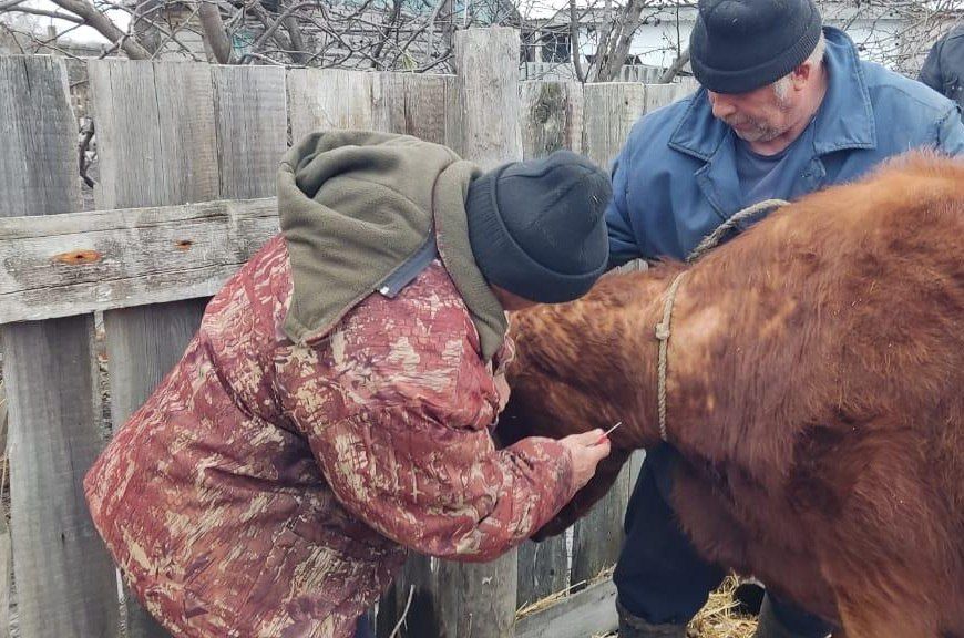 Сколько стоят невыданные перчатки? Дело ветврача из Костанайской области может изменить жизнь его коллег в Казахстане