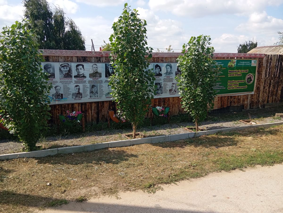 Аллея ответственности и благородства. Как пенсионер из Тобыла хранит память и призывает благоустраивать улицы