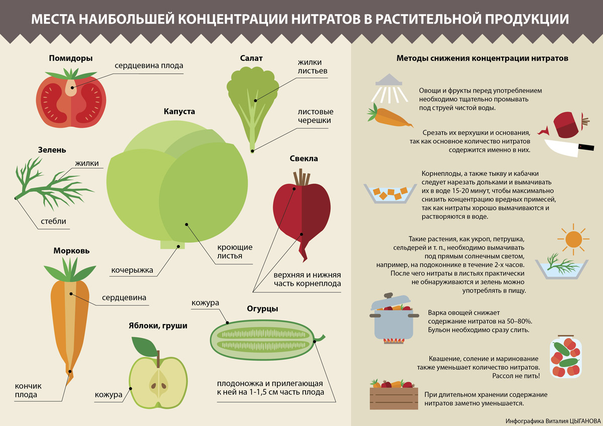 Проверка на нитраты в домашних условиях 601 Проверка на нитраты в домашних условиях 923