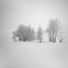 Фото: ng.kz