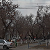 Фото: ng.kz