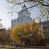 Фото: ng.kz
