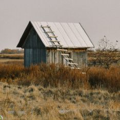 Фото: ng.kz