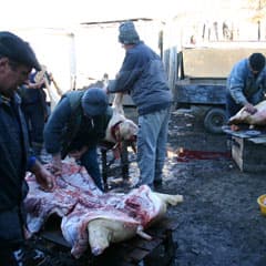 Забойные страсти крестьян