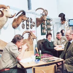 Высокая охота. Идем на снижение?