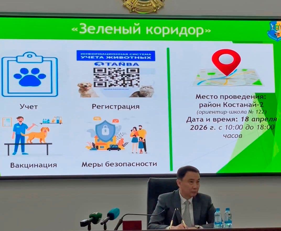 Бесплатную вакцинацию домашних животных от бешенства проведут в Костанае
