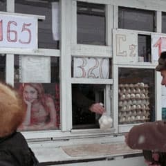 Пролетая над гнездом несушки