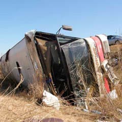 В аварии виноват сайгак