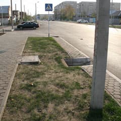 Лишь снится нам трава у дома