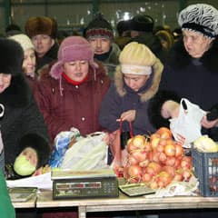 Картошка мелкая, зато очередь большая