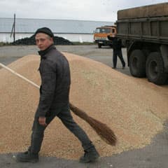 Нас бьют рекорды