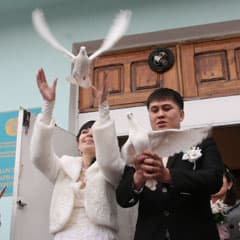 Свадебный переполох