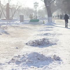 Центр - минус 46 тополей