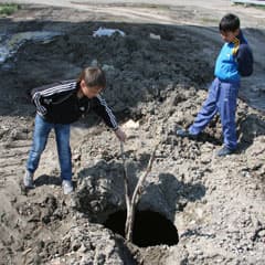 Раскопали и забыли