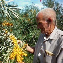 Солнечный дар Владимира Задонского