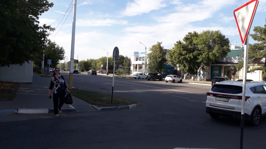 Проект «Народный гаишник» - Пешеходотормозящий переход
