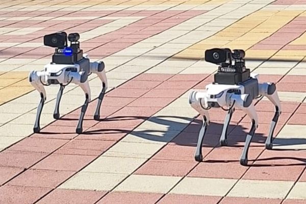 Щенячий патруль - Собаки-роботы заступили на службу в полиции Костаная