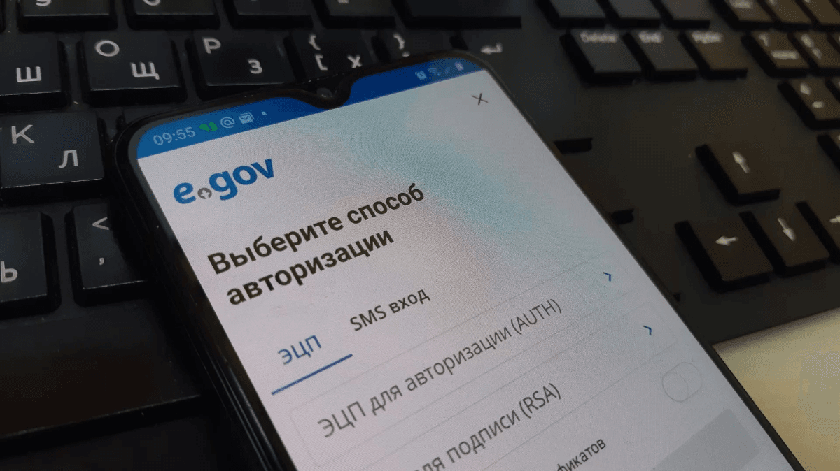 Запрет на выезд, штрафы и вызов полиции объединили в одном сервисе приложения eGov Mobile