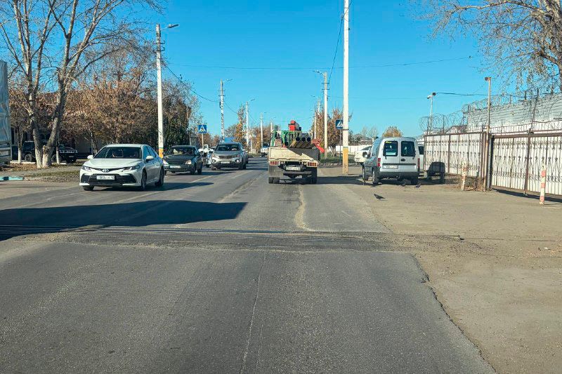 «Народный гаишник»: Переезд заросший, мешает...