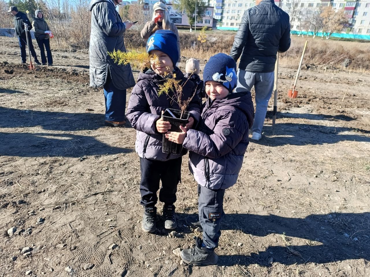 Деревья и кустарники высадили в новом «Сквере рудничан». Кто будет ухаживать за саженцами?