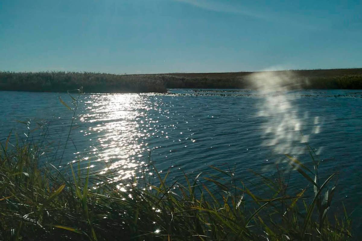 Похоже, что у щуки начинается жор. Этой осенью открываем новые клевые места в районах Костанайской области