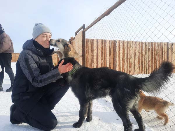 Приют человека отзывы. Еланлинский приют людей. Приют человека Красноярск. Приют человека Казань.