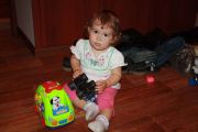 17264